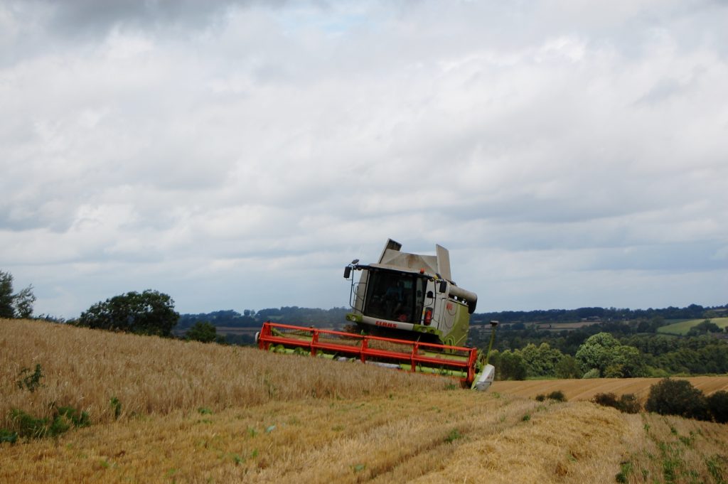 Harvester In The Field